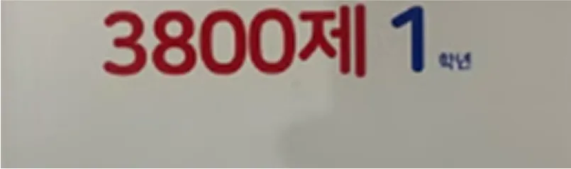 여름어학연수